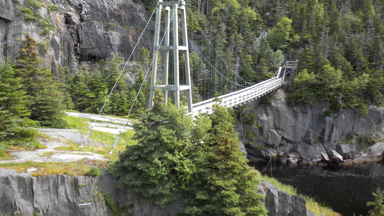 Photo of Others in Cape Broyle