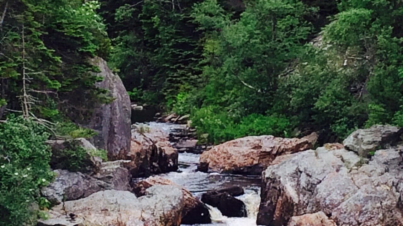 Photo of Outdoor in Cape Broyle