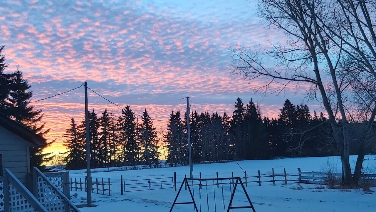 Photo of Outdoor in Division No. 8