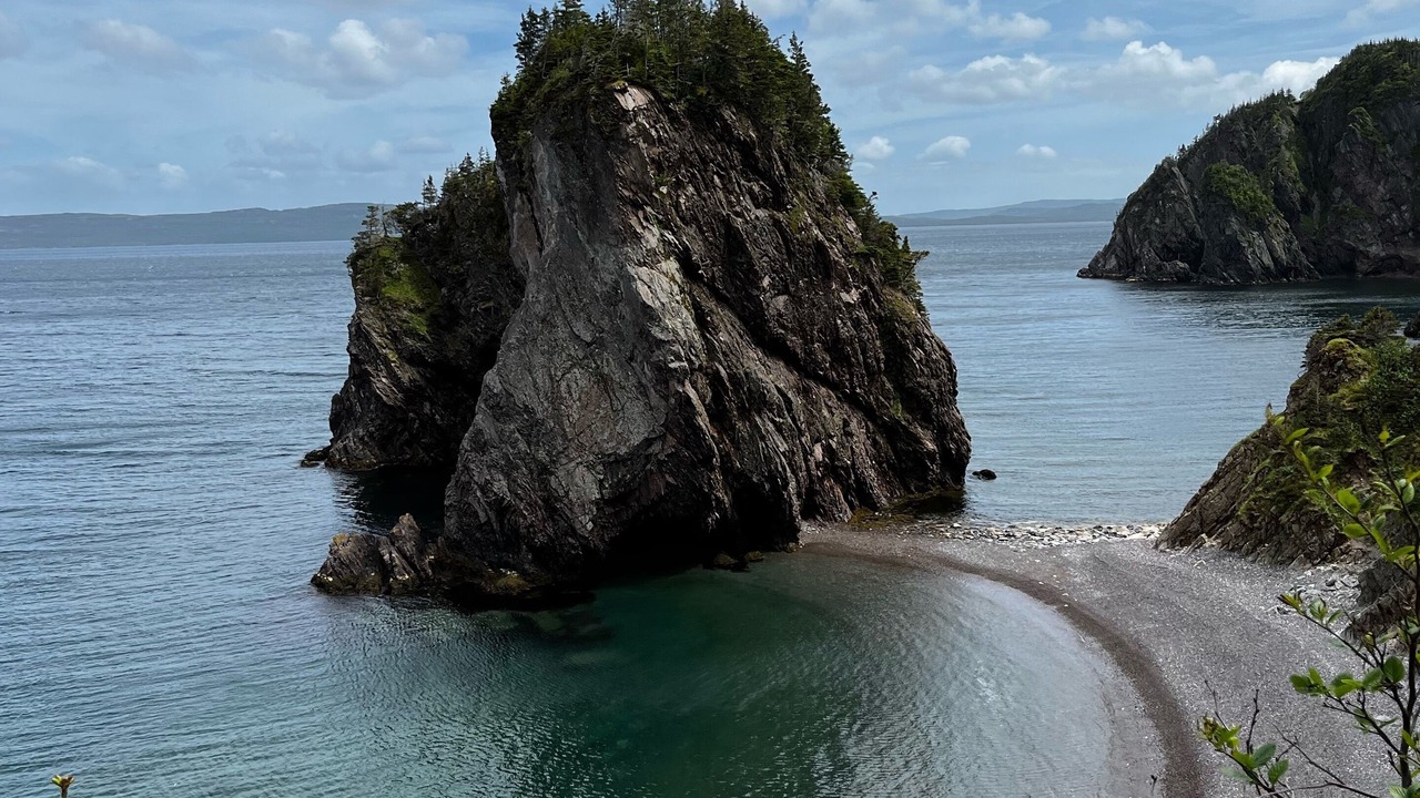 Photo of Others in Chance Cove