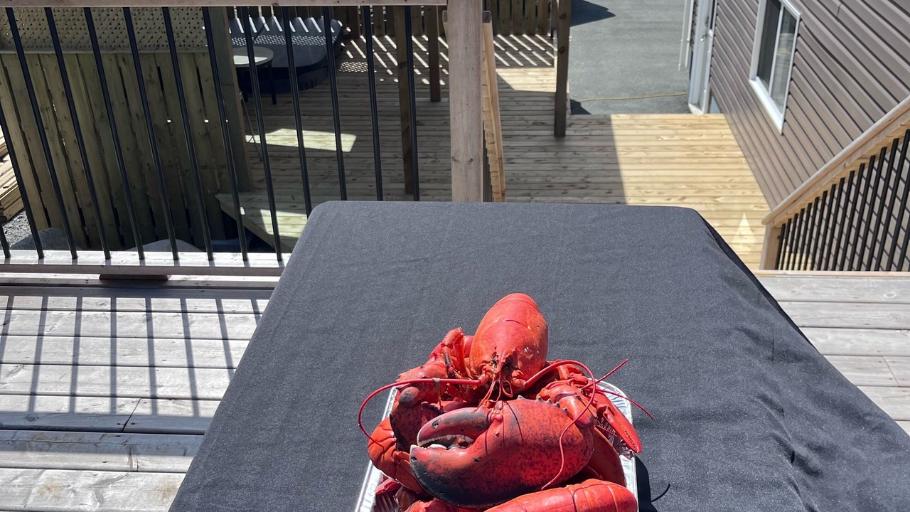 Photo of Outdoor in Chance Cove