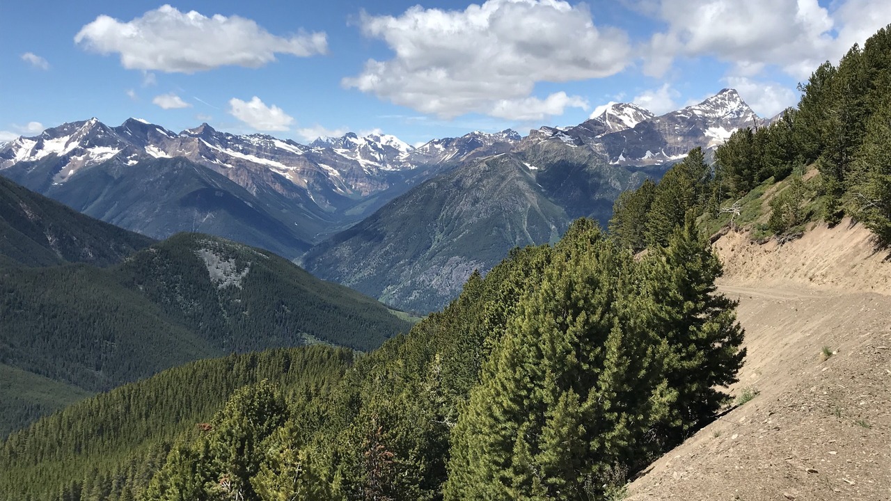 Photo of Others in East Kootenay