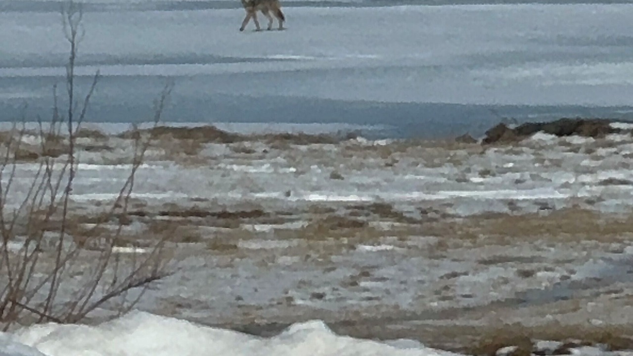 Photo of Others in Tatamagouche