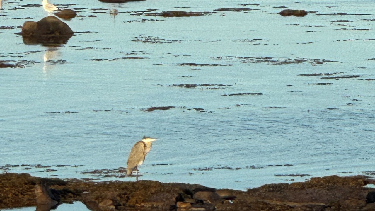 Photo of Others in Tatamagouche
