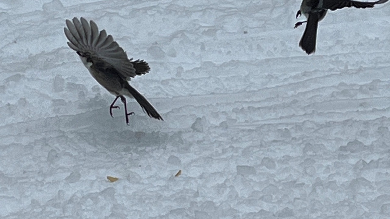 Photo of Others in Tatamagouche