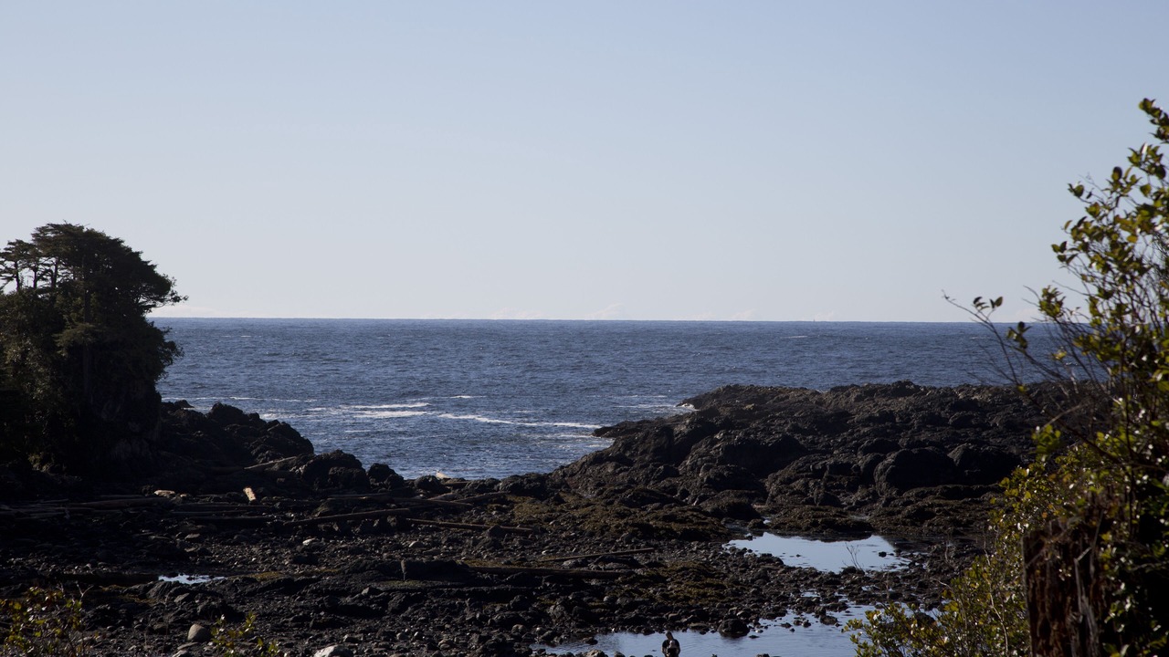 Photo of Others in Ucluelet