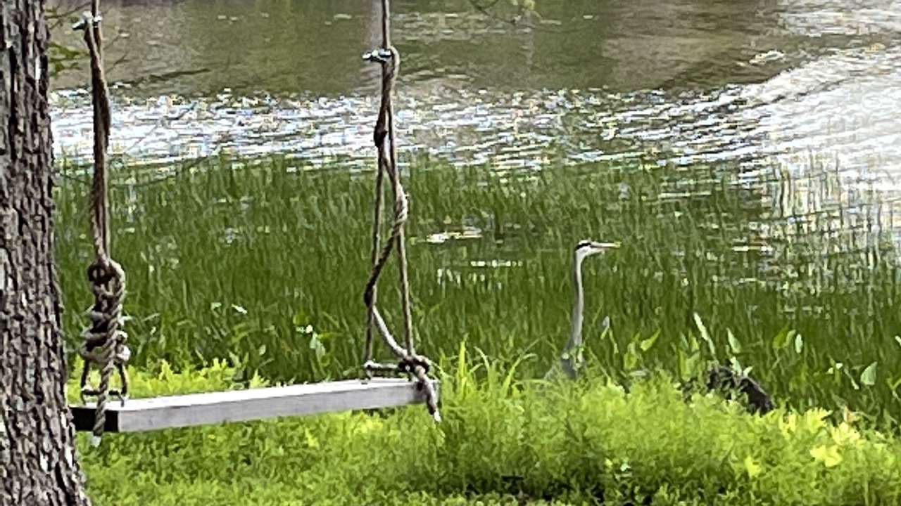Photo of Outdoor in Tweed