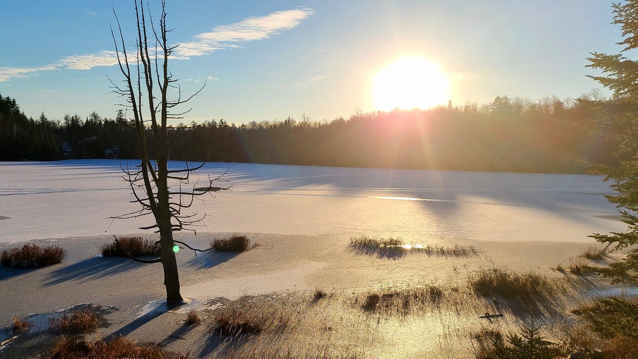 Photo of Others in Wentworth-Nord