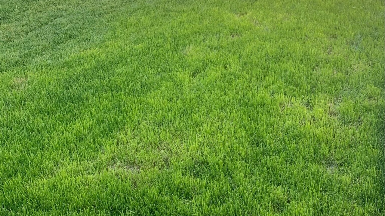 Photo of Outdoor in Delta