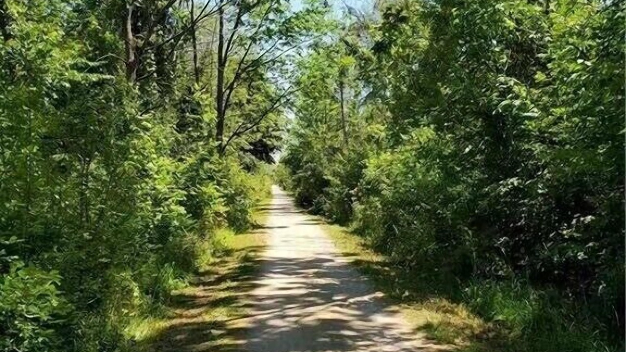 Photo of Outdoor in Craigleith