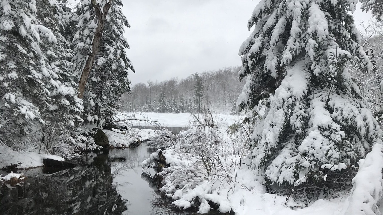 Photo of Outdoor in Bolton-Est