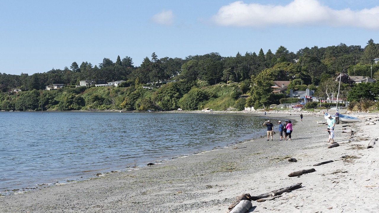 Photo of Others in Saanich East