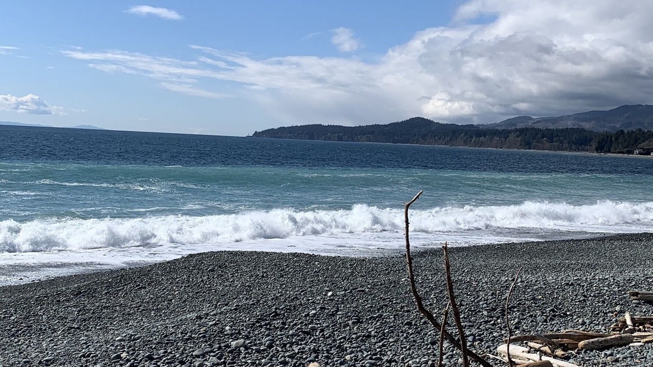 Photo of Others in Otter Point