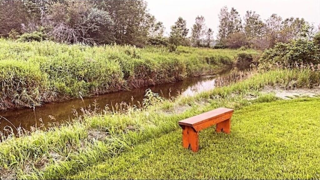 Photo of Others in Severn