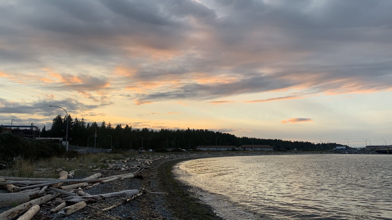 Photo of Others in Comox