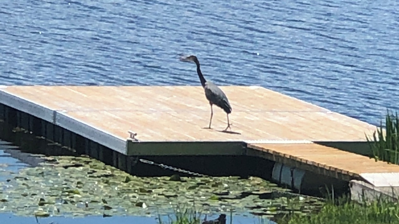 Photo of Others in Yellow Point