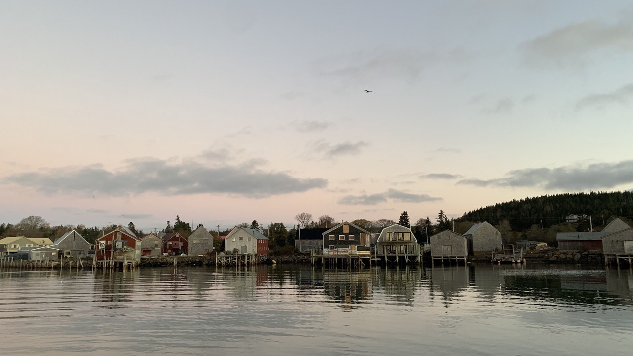 Photo of Others in Seal Cove