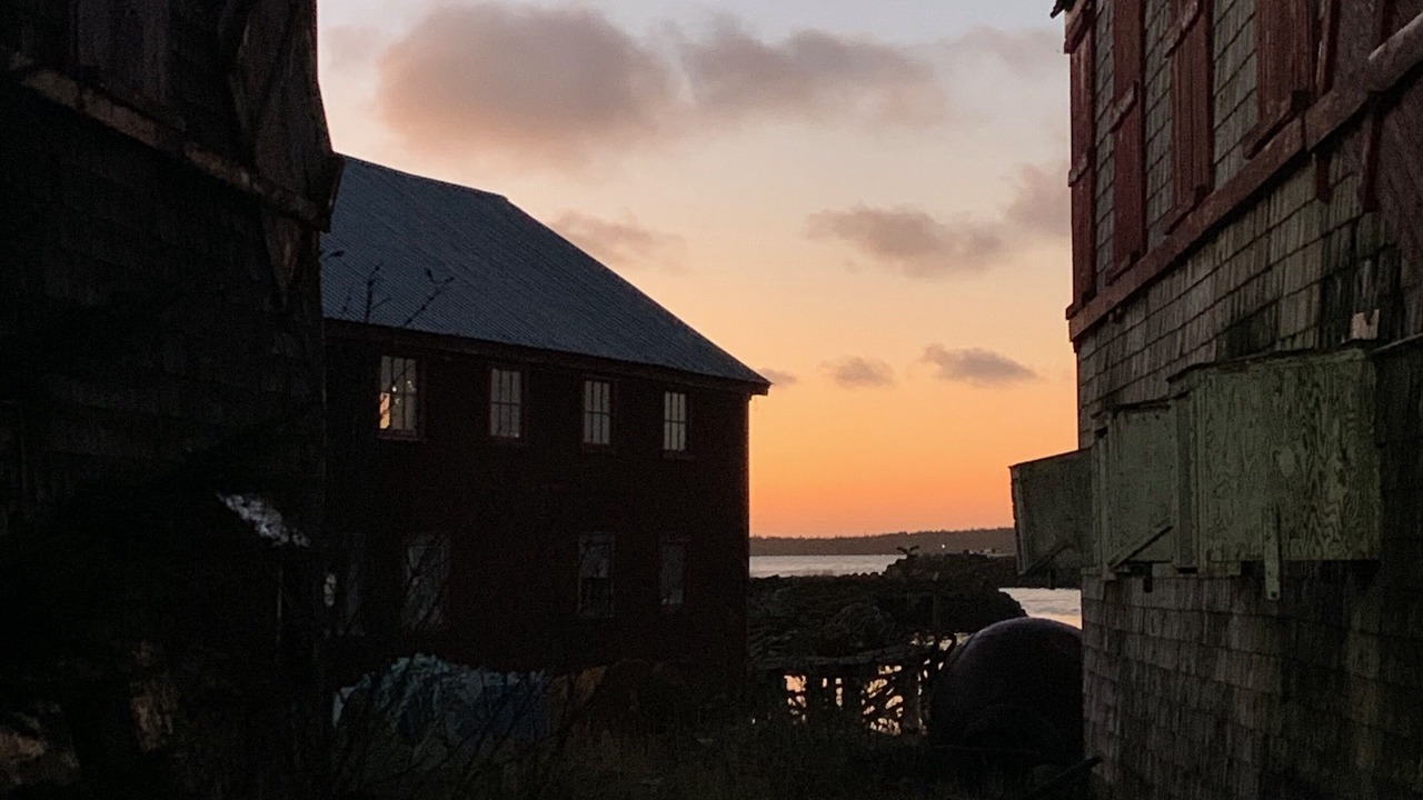 Photo of Others in Seal Cove