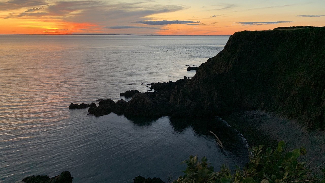 Photo of Others in Seal Cove