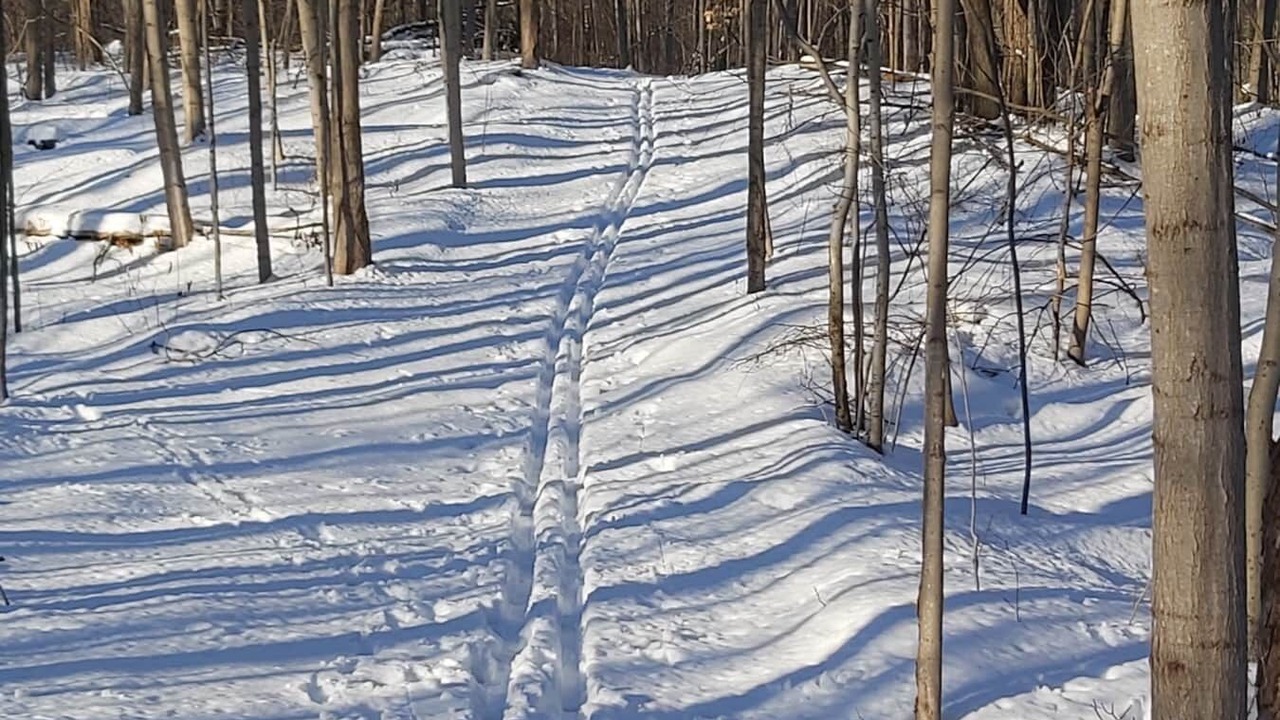 Photo of Others in Central Huron