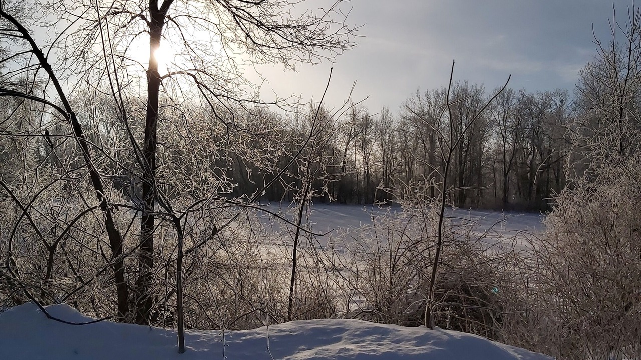 Photo of Others in Central Huron