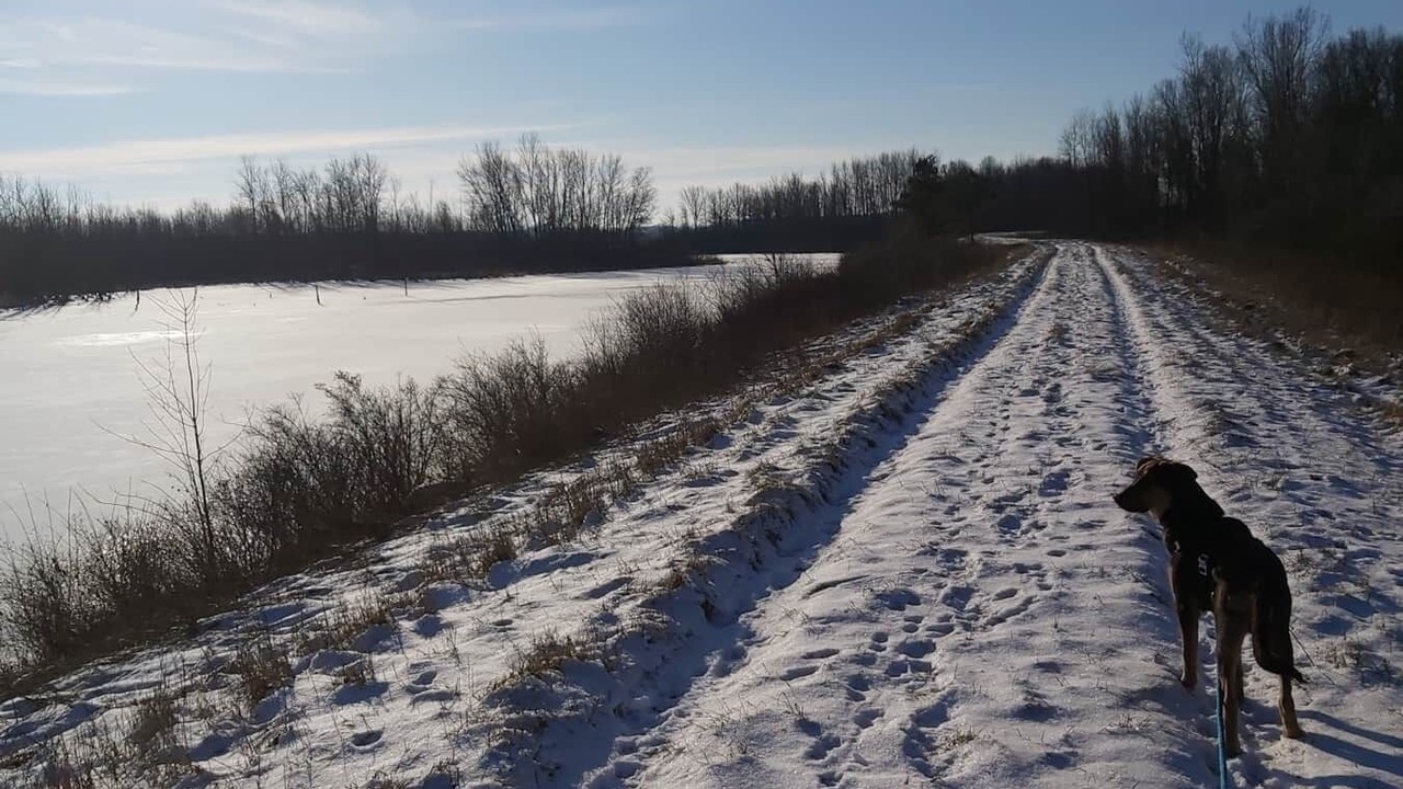 Photo of Others in Central Huron