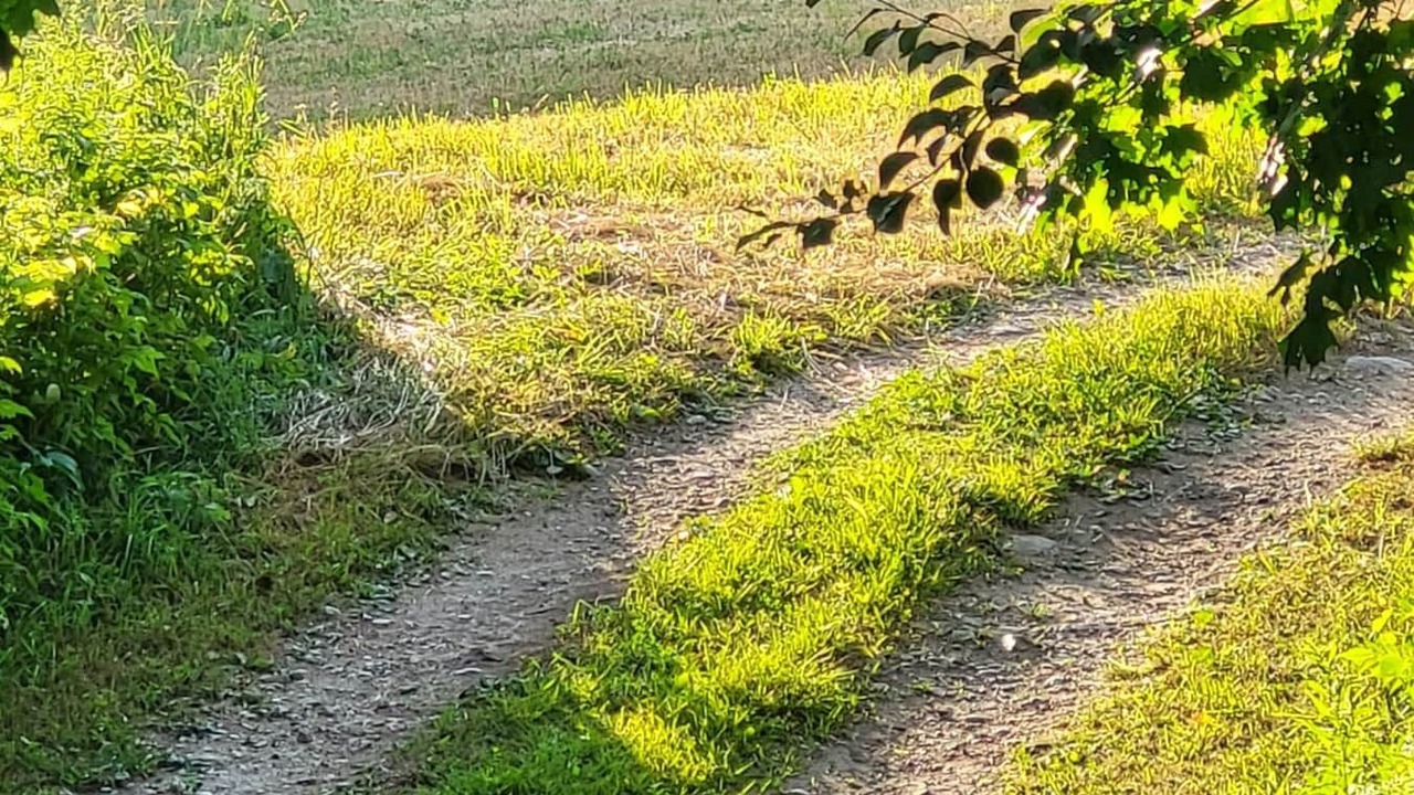 Photo of Others in Central Huron