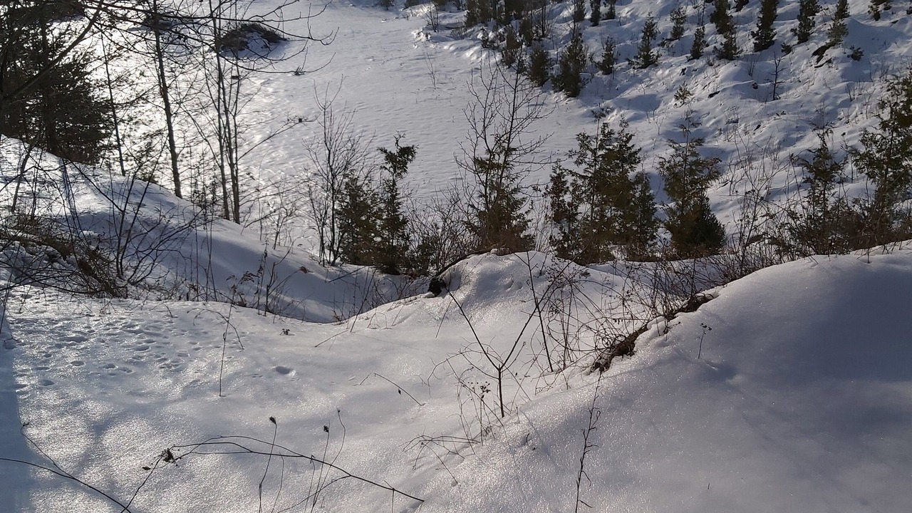 Photo of Others in Central Huron