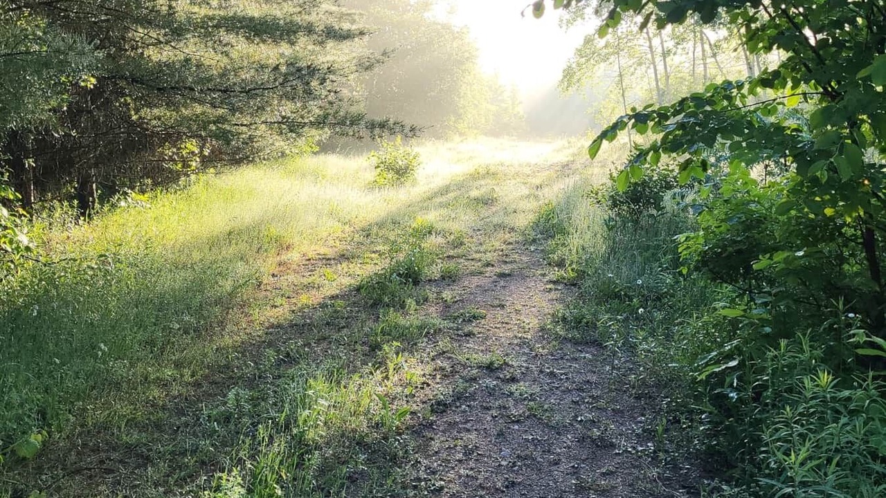 Photo of Others in Central Huron