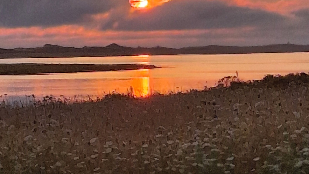 Photo of Outdoor in Brackley Beach