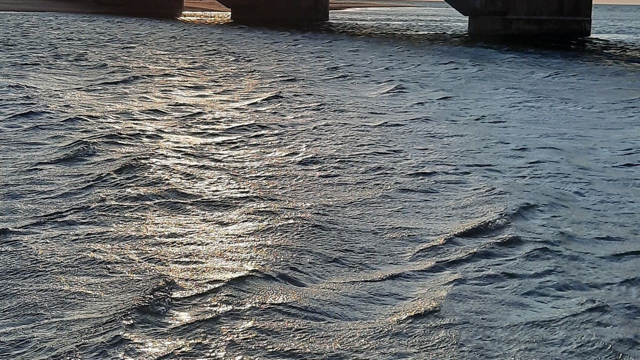 Photo of Others in Brackley Beach