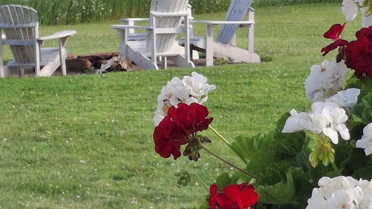 Photo of Outdoor in Brackley Beach