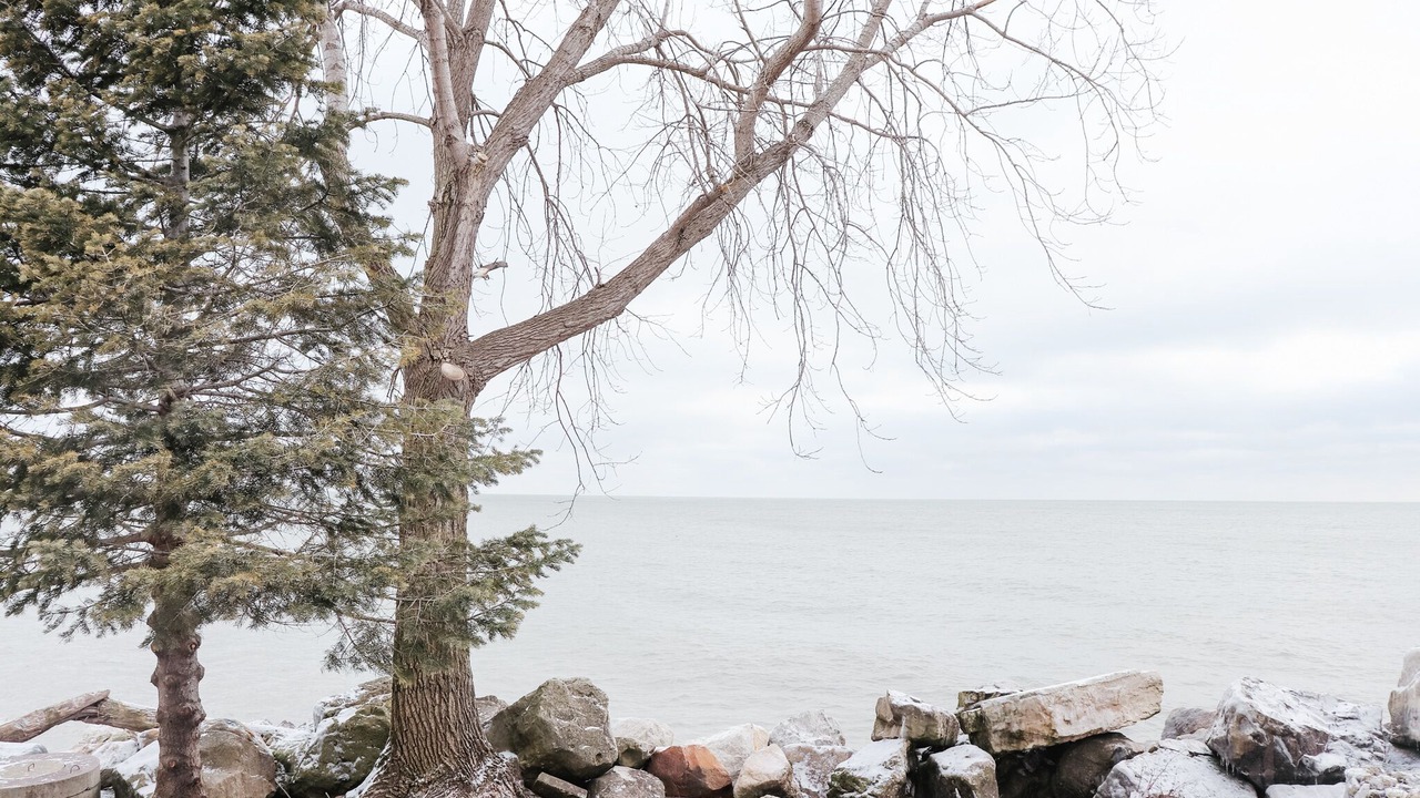 Photo of Outdoor in Leamington