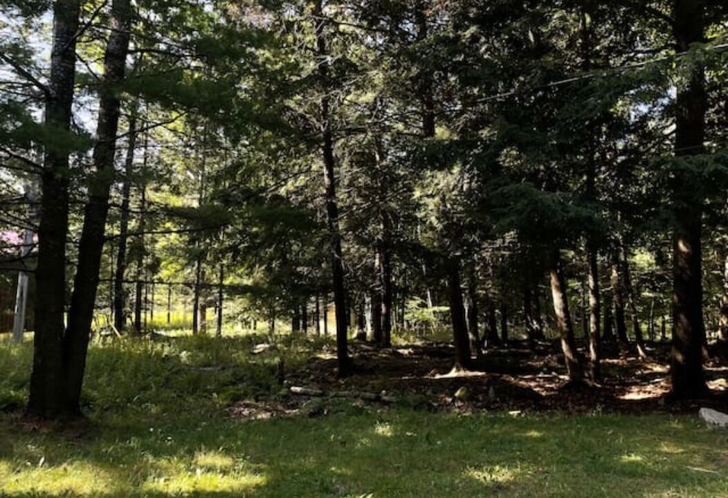 Photo of Outdoor in Lake of Bays