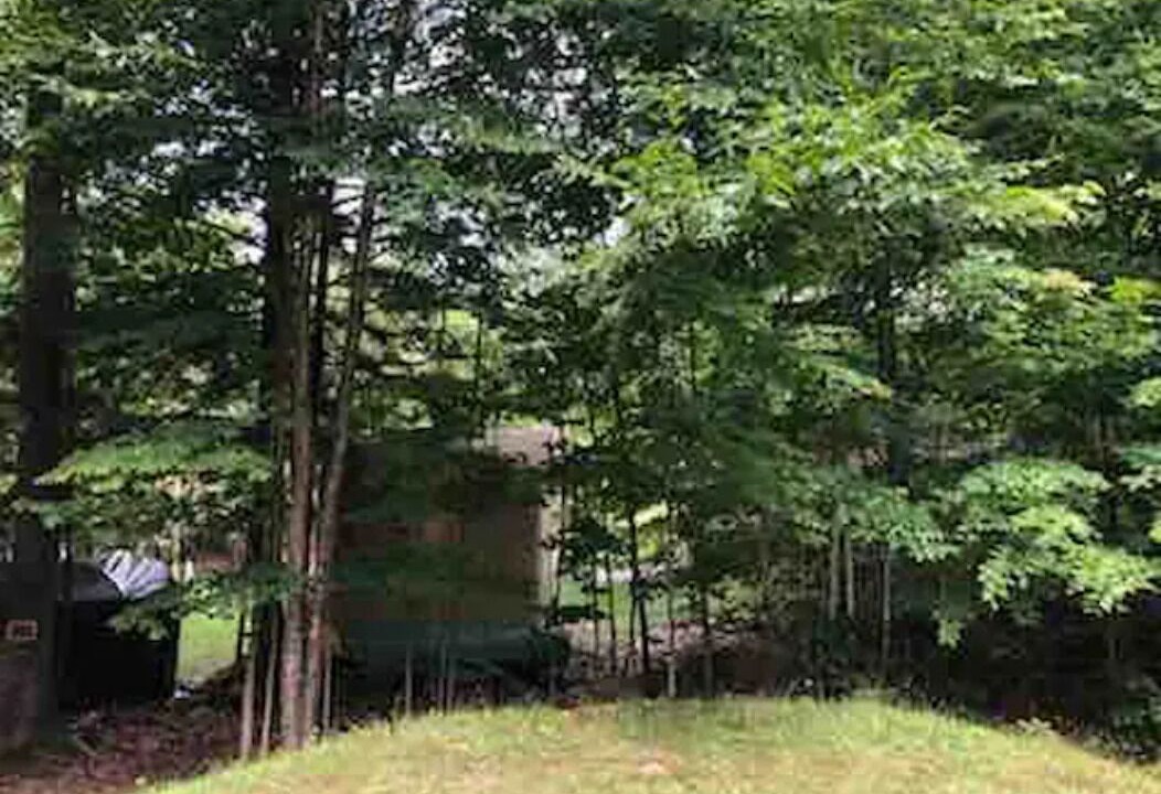 Photo of Outdoor in Lake of Bays
