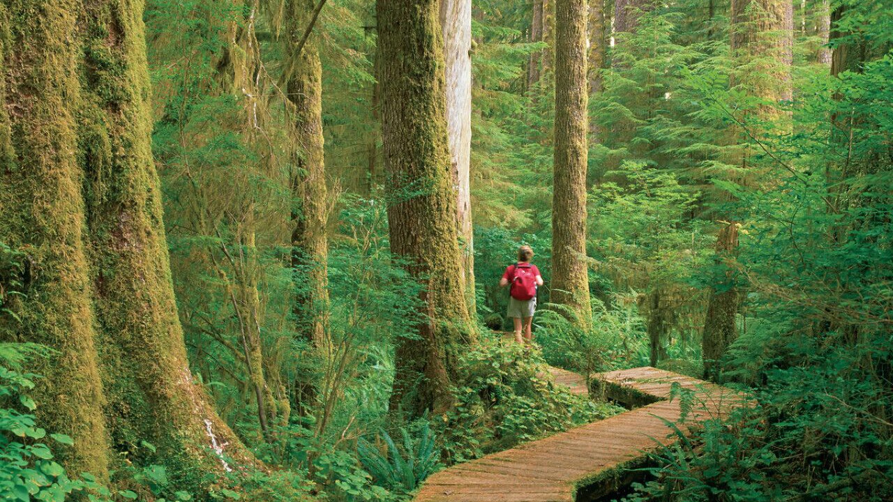 Photo of Others in Ucluelet