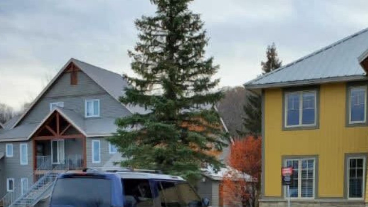 Photo of Outdoor in Calabogie