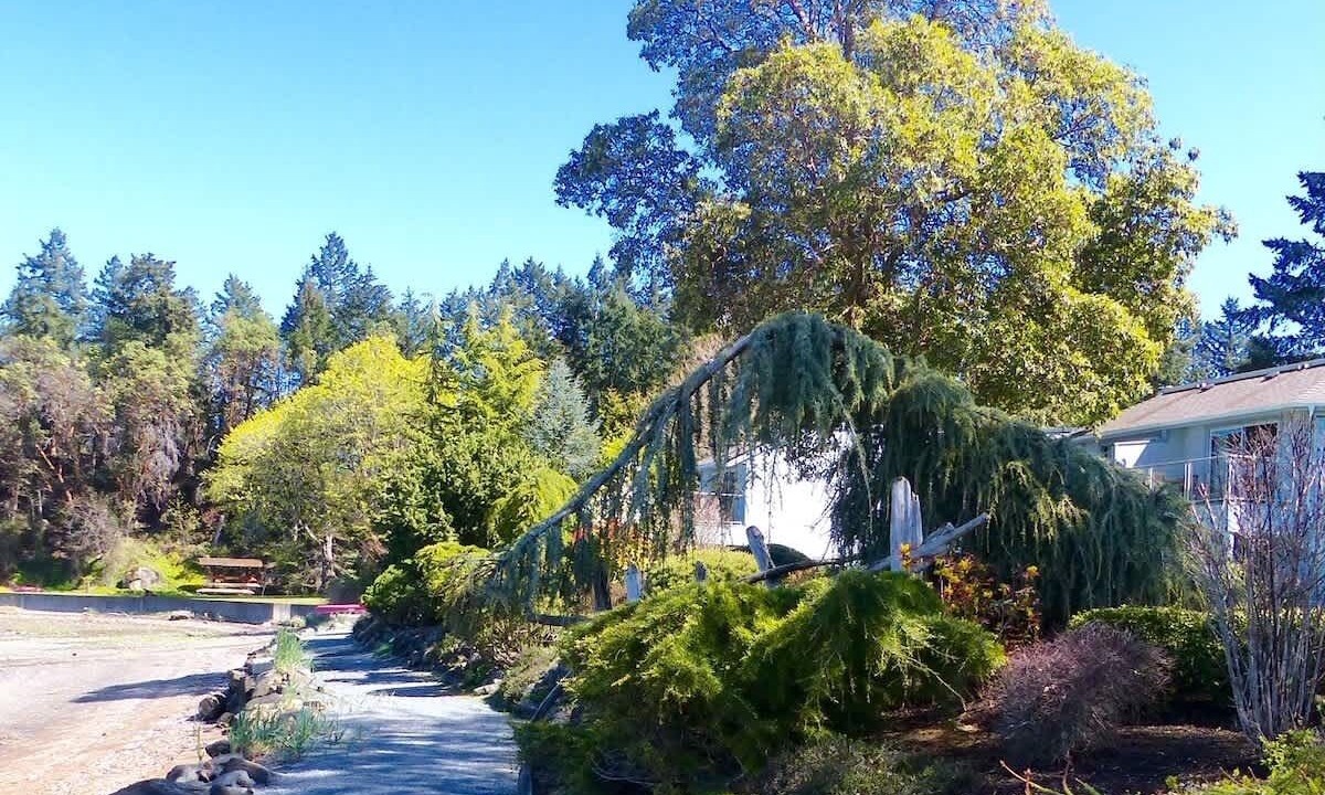 Photo of Outdoor in Regional District of Nanaimo