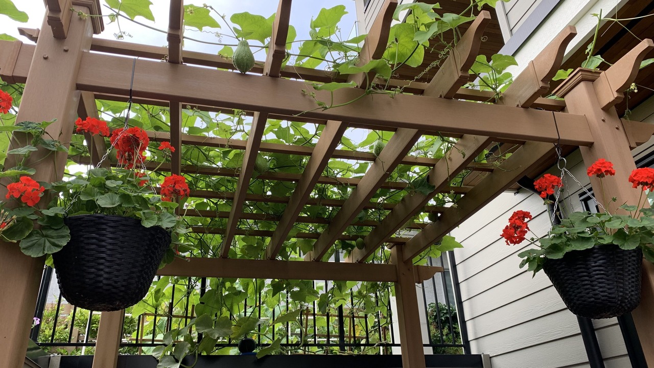 Photo of Outdoor in White Rock