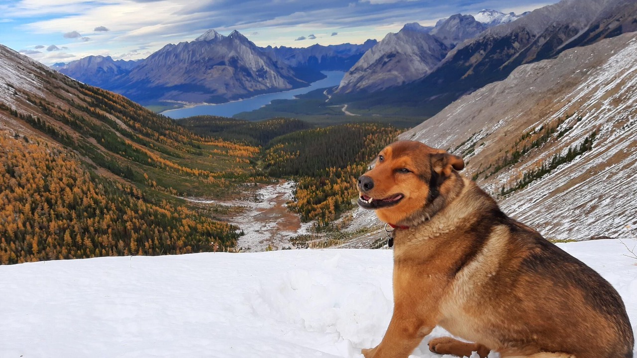Photo of Outdoor in Canmore