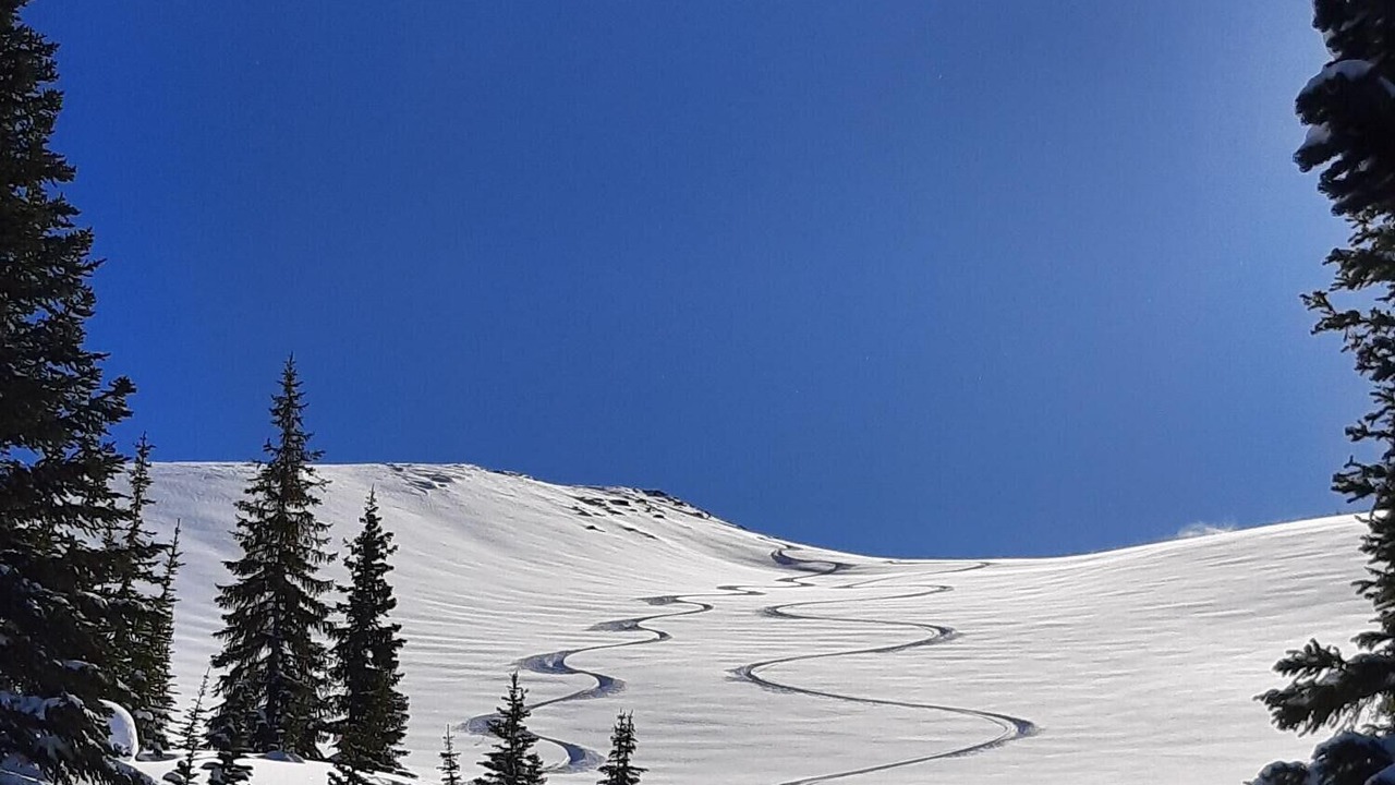 Photo of Others in Canmore