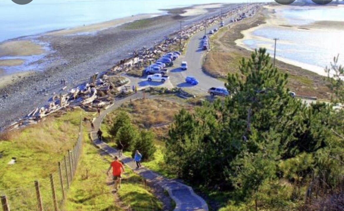 Photo of Others in Comox