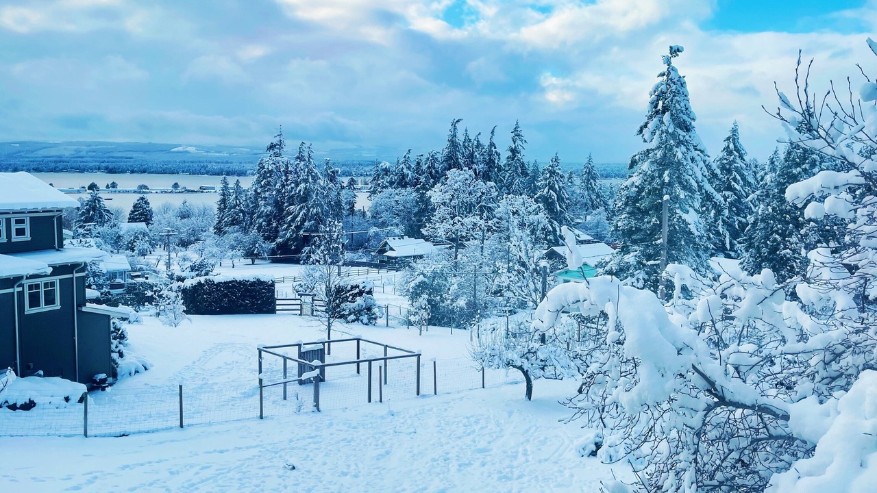Photo of Others in Comox