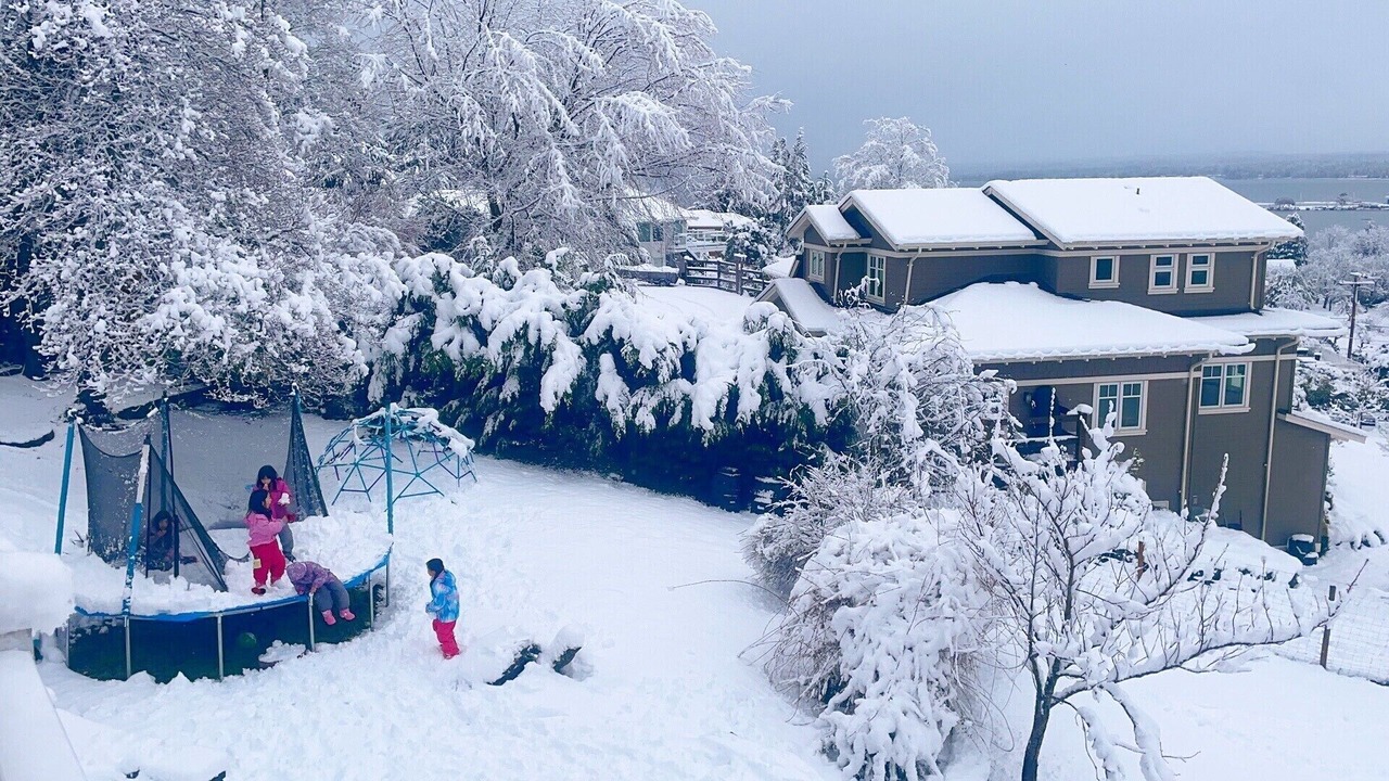 Photo of Others in Comox