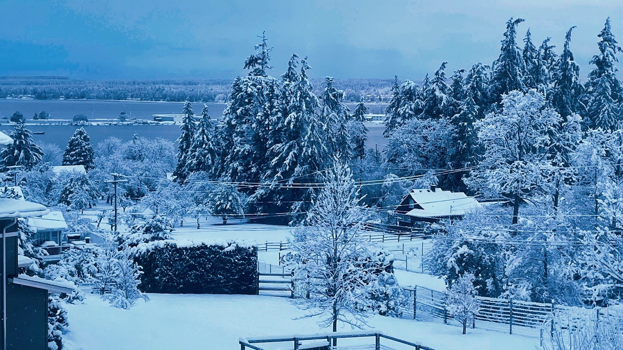 Photo of Others in Comox