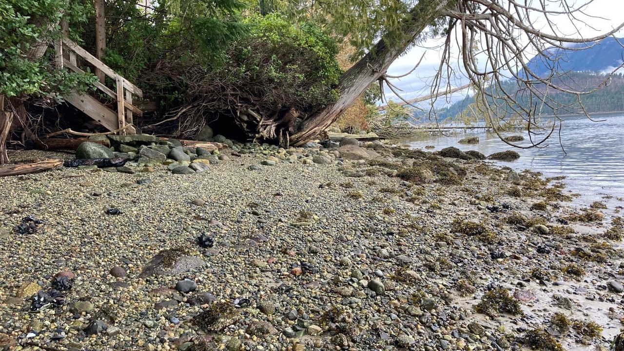 Photo of Others in West Porpoise Bay