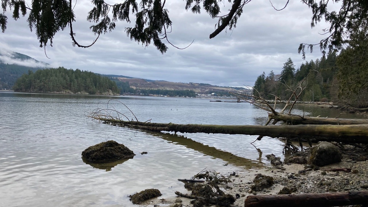 Photo of Others in West Porpoise Bay