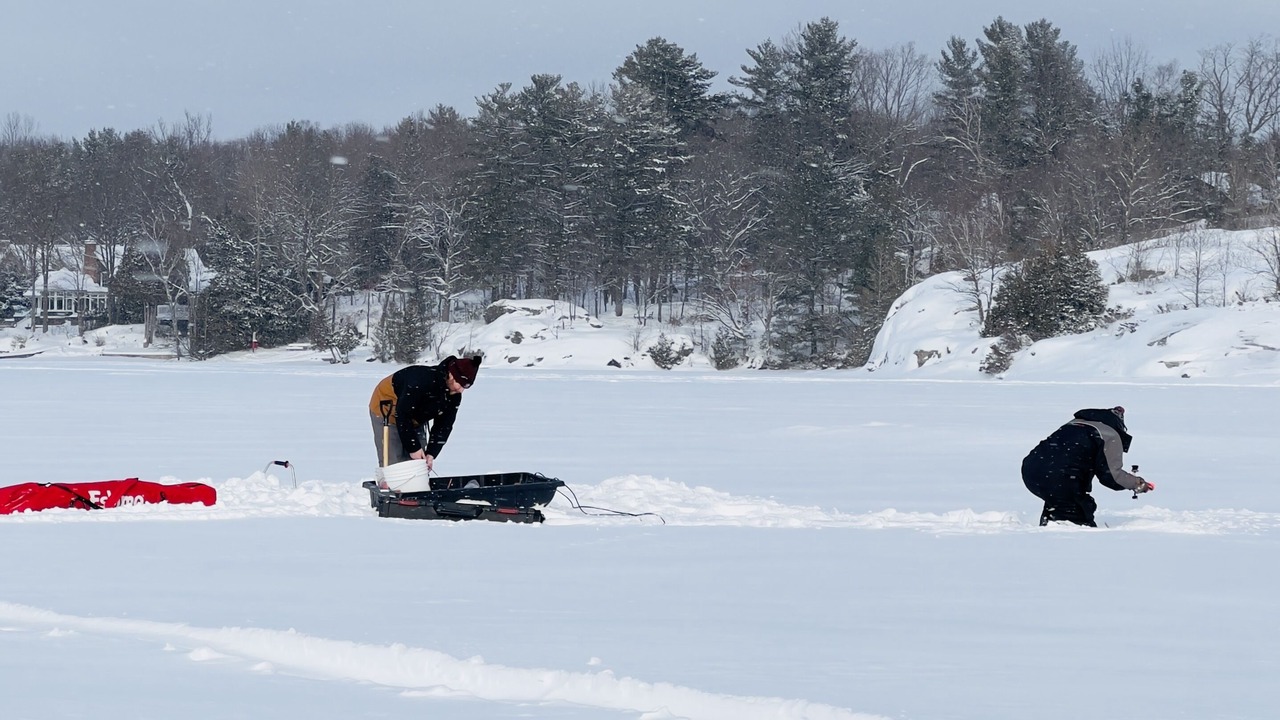 Photo of Others in Gravenhurst