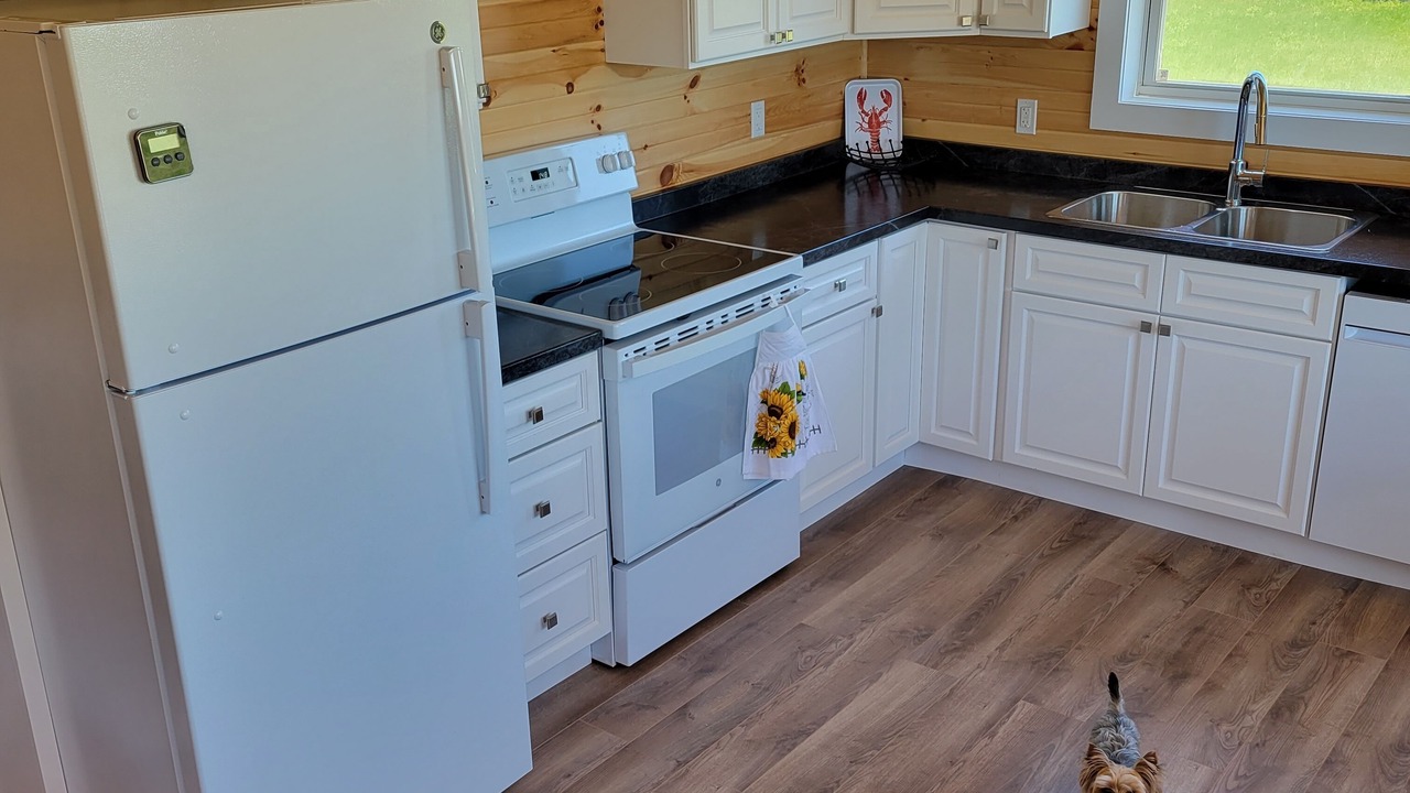 Photo of Kitchen in Darnley