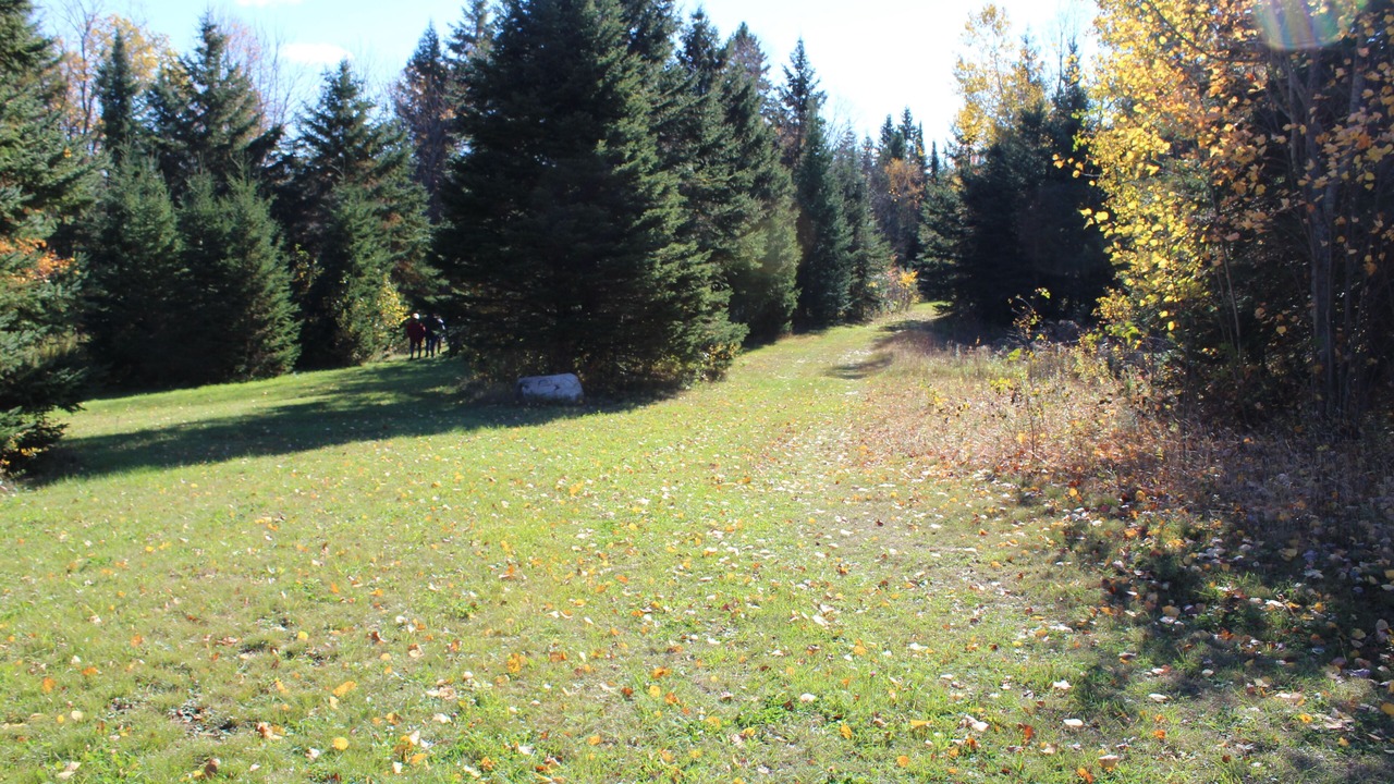 Photo of Outdoor in Hastings Highlands
